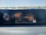  Lexus  UX LEXUS  / 2018 / 5P / todoterreno 2.0 250h Business Navigation (CX) #12