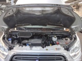  Ford  Transit  Kastenwagen 310 L2 Trend 2.0 TDCi 77KW MT6 E6 #12