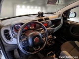  Fiat  Panda FIAT  / 2012 / 5P / BERLINA 1.0 70CV HYBRID EURO 6D VAN 2 P. POP #3