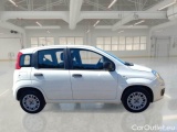  Fiat  Panda FIAT  / 2012 / 5P / BERLINA 1.2 69 CV VAN EURO6D 4 POSTI EASY #7