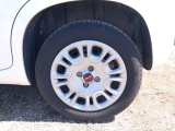  Fiat  Panda FIAT  / 2012 / 5P / BERLINA 1.2 69 CV VAN EURO6D 4 POSTI EASY #19