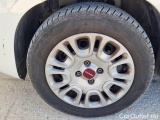  Fiat  Panda FIAT  / 2012 / 5P / BERLINA 1.0 70CV HYBRID EURO 6D VAN 4 P. EASY #20
