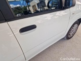  Fiat  Panda FIAT  / 2012 / 5P / BERLINA 1.0 70CV HYBRID EURO 6D VAN 4 P. EASY #48