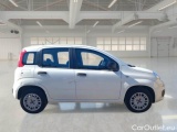  Fiat  Panda FIAT  / 2012 / 5P / BERLINA 1.2 69 CV VAN EURO6D 4 POSTI EASY #7