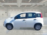  Fiat  Panda FIAT  / 2012 / 5P / BERLINA 1.2 69 CV VAN EURO6D 4 POSTI EASY #8