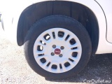  Fiat  Panda FIAT  / 2012 / 5P / BERLINA 1.2 69 CV VAN EURO6D 4 POSTI EASY #18