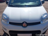  Fiat  Panda FIAT  / 2012 / 5P / BERLINA 1.2 69 CV VAN EURO6D 4 POSTI EASY #22