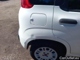  Fiat  Panda FIAT  / 2012 / 5P / BERLINA 1.2 69 CV VAN EURO6D 4 POSTI EASY #35