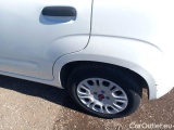 Fiat  Panda FIAT  / 2012 / 5P / BERLINA 1.2 69 CV VAN EURO6D 4 POSTI EASY #44