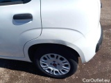  Fiat  Panda FIAT  / 2012 / 5P / BERLINA 1.2 69 CV VAN EURO6D 4 POSTI EASY #54
