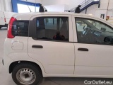  Fiat  Panda FIAT  / 2012 / 5P / BERLINA 1.0 70CV HYBRID EURO 6D VAN 2 P. POP #57