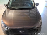  Ford   ECOSPORT FORD / 2017 / 5P / SUV 1.0 ECOBOOST 125CV SeS ST-LINE #25
