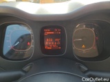  Fiat  Panda  3 (2012)  1.3MJET 95 Wild 4x4 #9