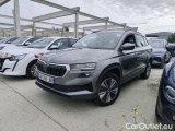  Skoda  Karoq 2.0 TDI 116 DSG7 BUSINESS 