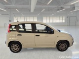  Fiat  Panda FIAT  / 2011 / 5P / BERLINA 1.0 FIREFLY 70CV SeS HYBRID #7