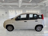  Fiat  Panda FIAT  / 2011 / 5P / BERLINA 1.0 70CV SeS HYBRID #8