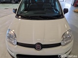  Fiat  Panda FIAT  / 2011 / 5P / BERLINA 1.0 70CV SeS HYBRID #37