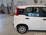  Fiat  Panda FIAT  / 2011 / 5P / BERLINA 1.0 70CV SeS HYBRID #49
