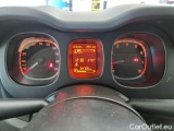  Fiat  Panda FIAT  / 2011 / 5P / BERLINA 1.2 69CV SeS E6D-TEMP EASY #4