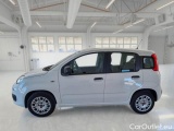  Fiat  Panda FIAT  / 2011 / 5P / BERLINA 1.2 69CV SeS E6D-TEMP EASY #8