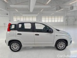  Fiat  Panda FIAT  / 2011 / 5P / BERLINA 1.2 69CV SeS E6D-TEMP EASY #7