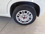  Fiat  Panda FIAT  / 2011 / 5P / BERLINA 1.2 69CV SeS E6D-TEMP EASY #19