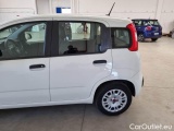  Fiat  Panda FIAT  / 2011 / 5P / BERLINA 1.2 69CV SeS E6D-TEMP EASY #46