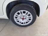  Fiat  Panda FIAT  / 2011 / 5P / BERLINA 1.2 69CV SeS E6D-TEMP EASY #52