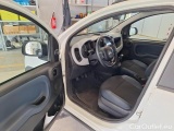  Fiat  Panda FIAT  / 2011 / 5P / BERLINA 1.0 70CV SeS HYBRID CITY CROSS #131