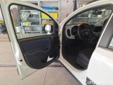  Fiat  Panda FIAT  / 2011 / 5P / BERLINA 1.0 70CV SeS HYBRID CITY CROSS #162