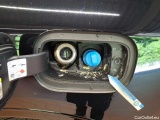  Ford  Kuga 2.0 EcoBlue 4x4 Aut. ST-LINE X Automatic Diesel  19 #40