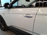  Opel   Grandland X 1.5 D Automatik Business Edition Automatic Diesel  30 #32