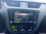  Skoda  Octavia  Combi Style 2.0 TDI 150CV MT6 E6dT #14