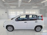  Fiat  Panda FIAT  2012 5 PORTE BERLINA 1.3 MJT 16V 75CV SeS POP #8