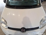  Fiat  Panda FIAT  2012 5 PORTE BERLINA 1.3 MJT 16V 75CV SeS POP #24