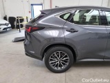  Lexus  NX LEXUS  / 2021 / 5P / SUV HYBRID BUSINESS 2WD MY22 #53