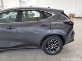  Lexus  NX LEXUS  / 2021 / 5P / SUV HYBRID BUSINESS 2WD MY22 #67