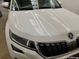  Skoda  Kodiaq  Style 4x4 2.0 TDI 110KW AT7 E6d #21