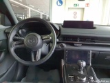  Mazda  MX-30 E-SKYACTIV EV  104 #11