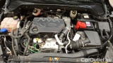  Ford  Focus 1,5 EcoBlue 88kW Cool & Connect Tur. A. #11