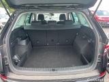  Skoda  Kodiaq  Business 2.0 TDI 150CV BVA7 E6d #10