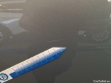  Ford  Kuga 1.5 EcoBlue Aut. Titanium Automatic Diesel  14 #47