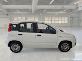  Fiat  Panda FIAT  / 2011 / 5P / BERLINA 1.0 FIREFLY 70CV SeS HYBRID #7