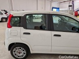  Fiat  Panda FIAT  / 2011 / 5P / BERLINA 1.0 FIREFLY 70CV SeS HYBRID #54