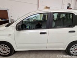  Fiat  Panda FIAT  / 2011 / 5P / BERLINA 1.0 FIREFLY 70CV SeS HYBRID #78