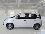  Fiat  Panda FIAT  / 2011 / 5P / BERLINA 1.0 FIREFLY 70CV SeS HYBRID #8
