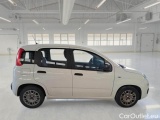  Fiat  Panda FIAT  / 2011 / 5P / BERLINA 1.0 FIREFLY 70CV SeS HYBRID #7