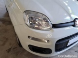  Fiat  Panda FIAT  / 2011 / 5P / BERLINA 1.0 FIREFLY 70CV SeS HYBRID #33