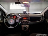  Fiat  Panda FIAT  / 2011 / 5P / BERLINA 1.3 MJT 95CV SeS E6 4X4 #3