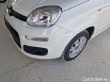  Fiat  Panda FIAT  / 2012 / 5P / BERLINA 1.3 MJT 80 CV VAN EURO6 SeS 4 POSTI EASY #31